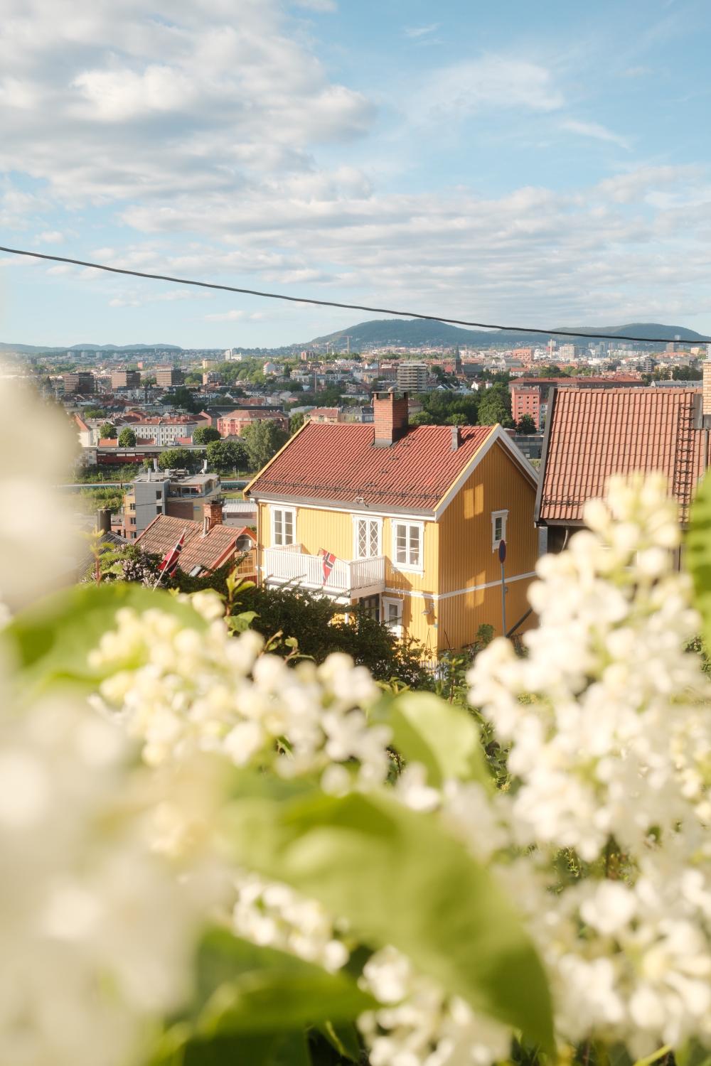 House in Oslo